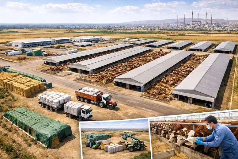 Güneydoğu’da Hayvancılıkta Stratejik Merkez: Şanlıurfa Merkez Tarıma Dayalı İhtisas Besi OSB