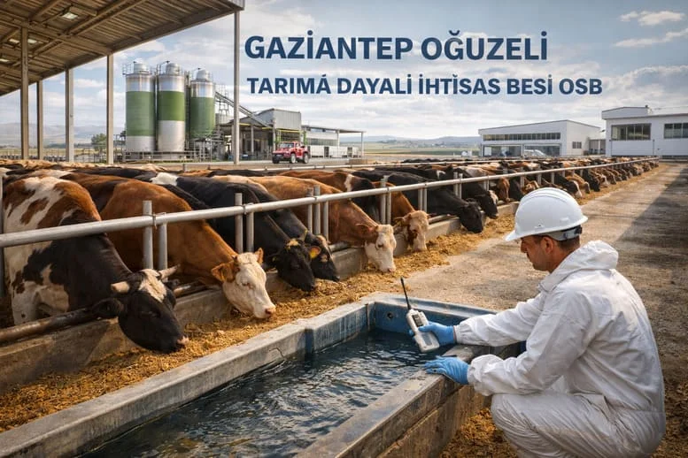 Güneydoğu’da Planlı Hayvancılığın Yeni Üssü: Gaziantep Oğuzeli Tarıma Dayalı İhtisas Besi OSB