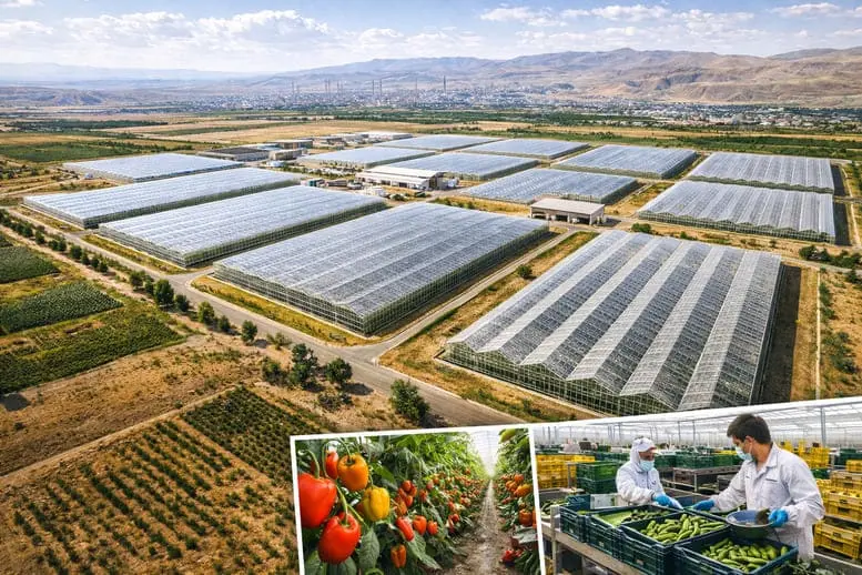 Güneydoğu’da Seracılıkta Yeni Atılım: Şırnak Silopi Tarıma Dayalı İhtisas Sera OSB