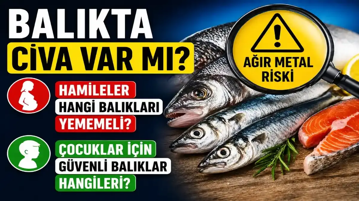 Hamileler ve Çocuklar Hangi Balıkları Tüketmeli? Cıva Tartışması Büyüyor