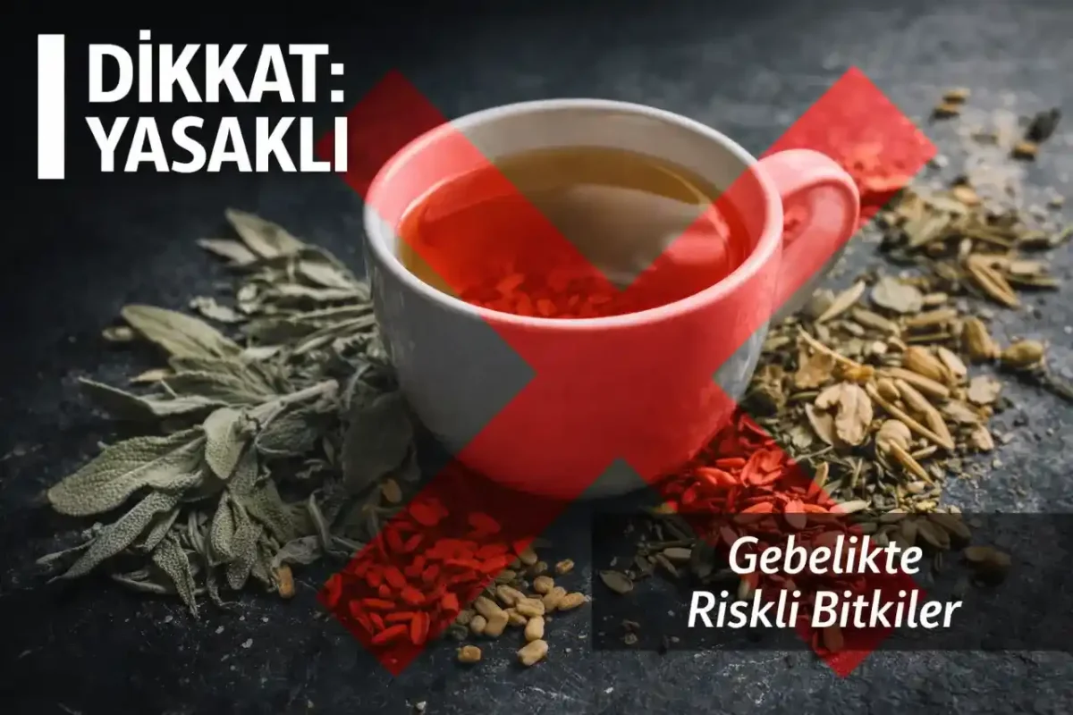 Hamilelikte Hangi Bitkiler Kesinlikle Yasak? Düşük Riski Ve Masum Çaylar