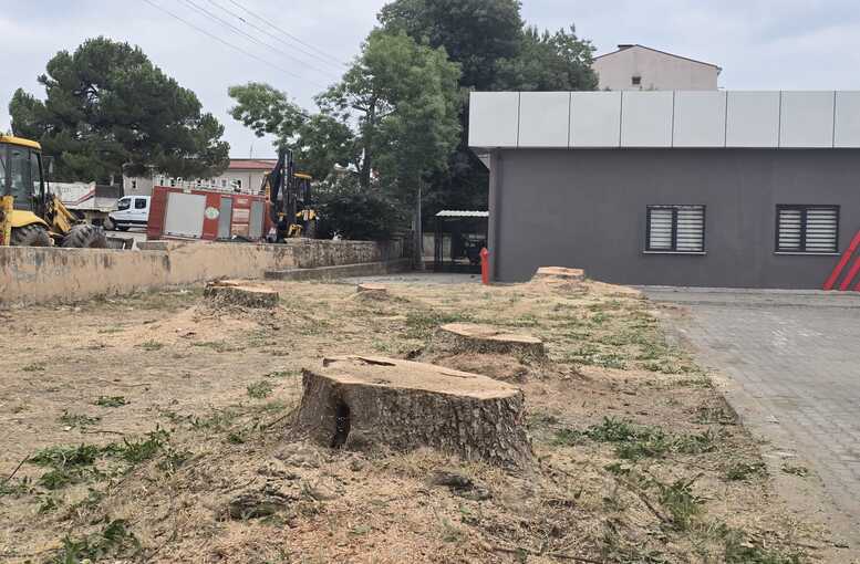 Hendek Rasimpaşa Camii Önündeki Ağaçlar Sessizce Kesildi