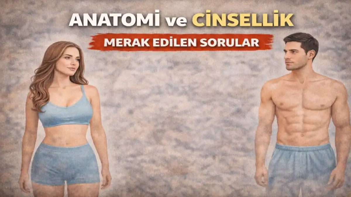 İnsan Anatomisi ve Cinsellik: Merak Edilen Tüm Detaylar