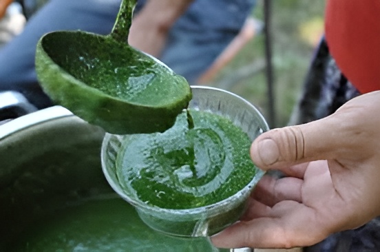 Isırgan Otu Çorbası Tarifi – Kolay ve Besleyici Geleneksel Lezzet