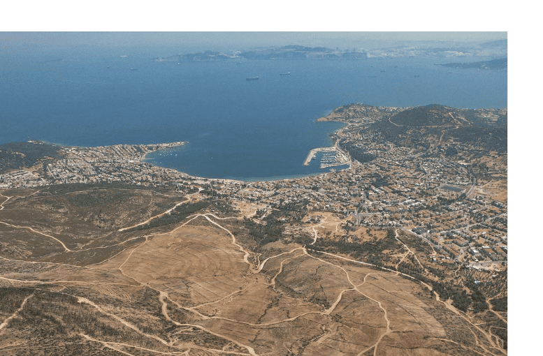 İzmir Foça Yeniden Yeşeriyor: 234 Hektarlık Alanda Ağaçlandırma Çalışmaları Sürüyor