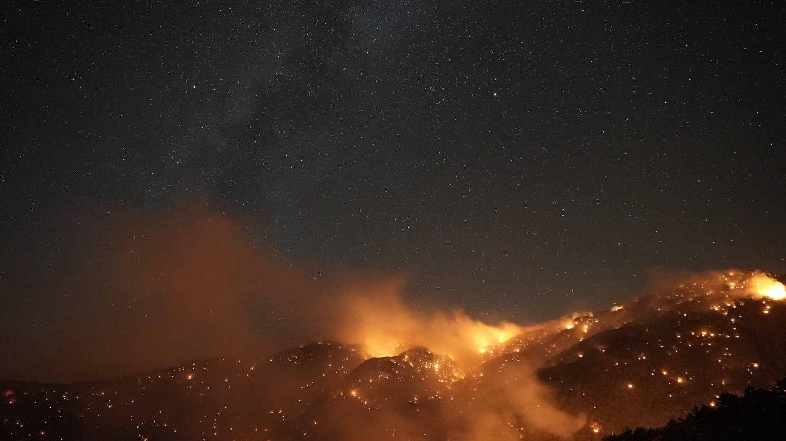 İzmir Orman Yangınları Yerleşim Yerlerini Tehdit Ediyor