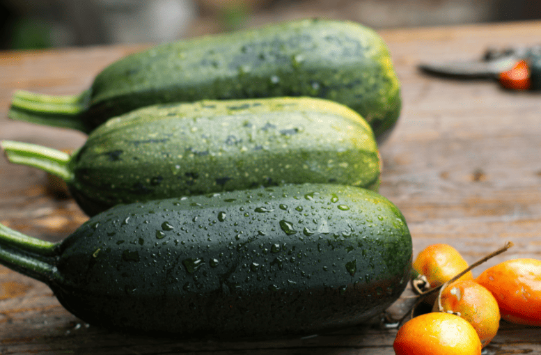 “Kabak Yetiştiriciliği Rehberi: Tohumdan Hasada Kadar Verimli ve Sağlıklı Üretim Teknikleri”