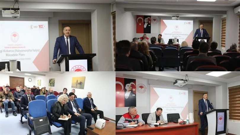 Kahverengi Kokarcaya Karşı Erken Mücadele: 100 Bin Hanede İlaçlama Hedefi