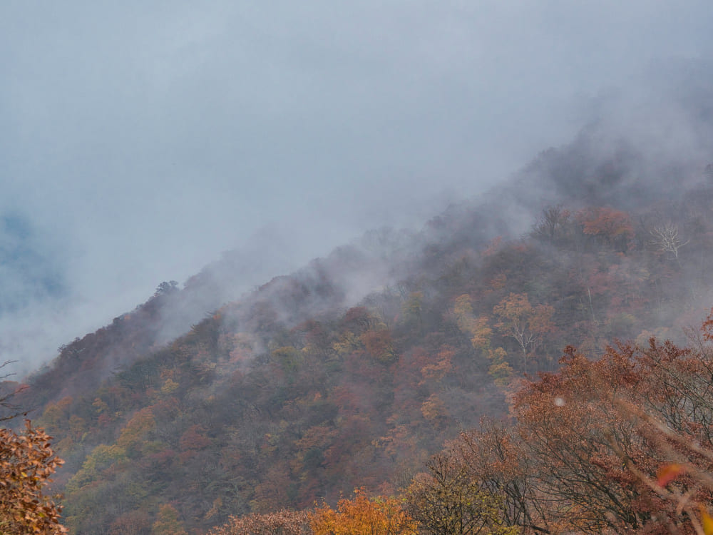 Karabük’te Orman Yangınına Havadan ve Karadan Müdahale Sürüyor