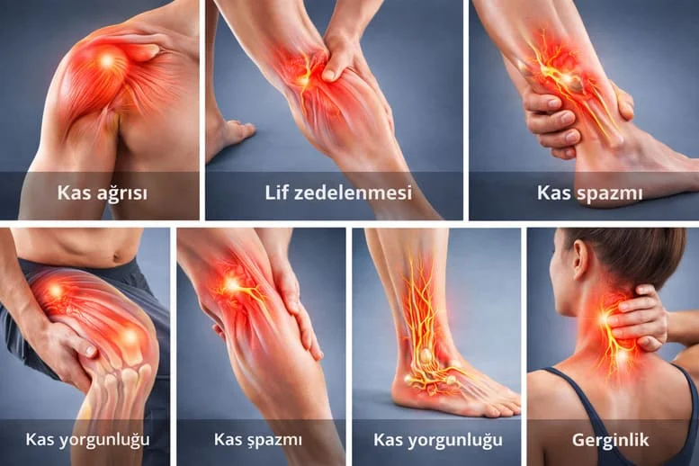 Kas Ağrıları ve Lif Zedelenmesi Neden Olur? En Yaygın 6 Sebep