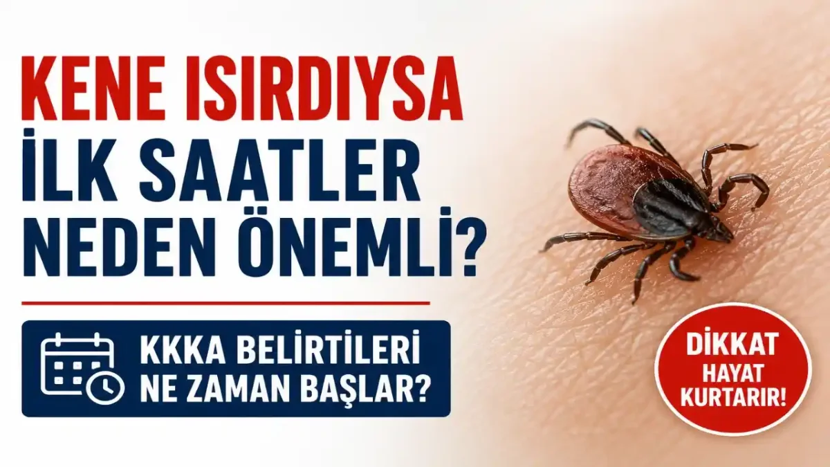 Kene Isırığı Sonrası Ateş Ve Halsizliğe Dikkat: KKKA İçin Hangi Belirtiler Alarm Vermeli?