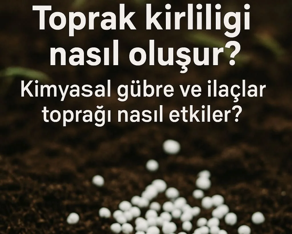Kimyasal Gübre ve Pestisitler Toprağın Dengesini Nasıl Bozar?