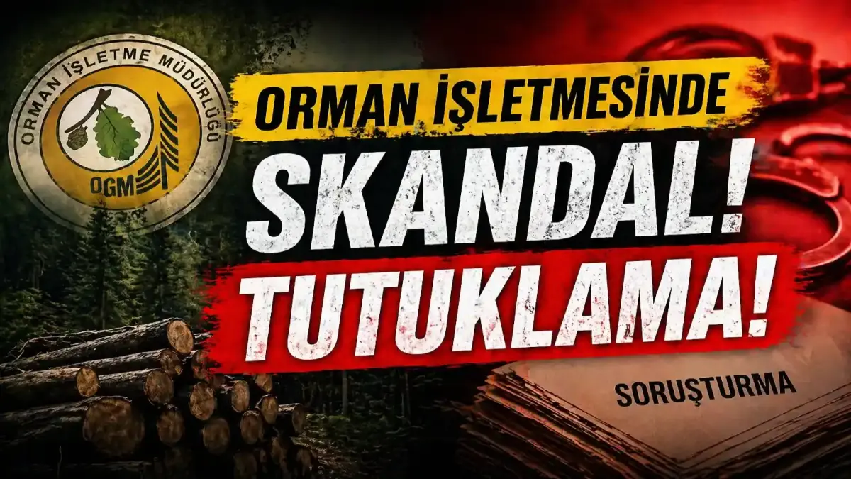 Kocaeli Merkezli Büyük Operasyon: Orman Şefi ve 12 Şüpheli Tutuklandı