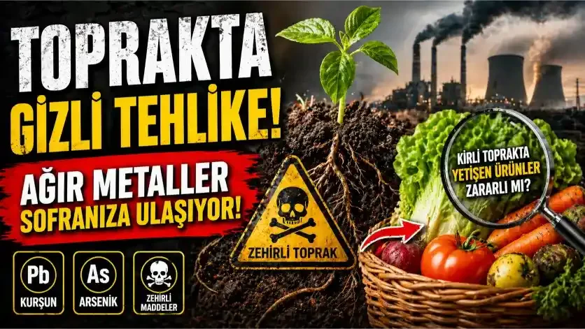 Kurşun ve Arsenik Alarmı: Toprak Kirliliği Sofranıza Ulaşıyor mu?