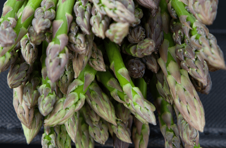 Kuşkonmaz (Asparagus officinalis) – Bitkisel Şifa ve Kullanım Önerileri