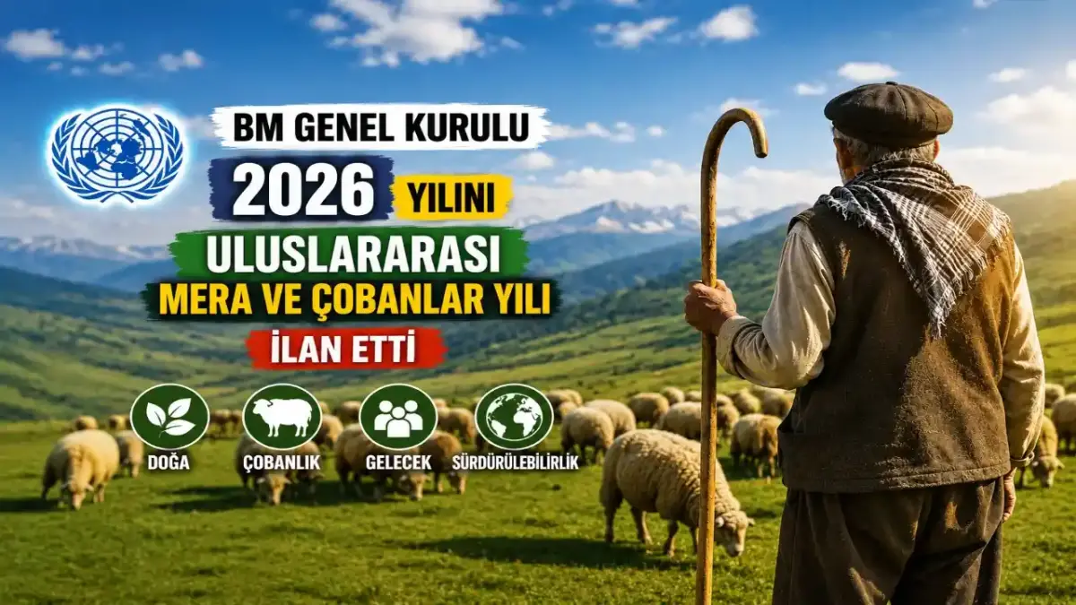 Meralar Yok Olursa Ne Olur? 2026 Uluslararası Mera ve Çobanlar Yılı’nın Anlamı