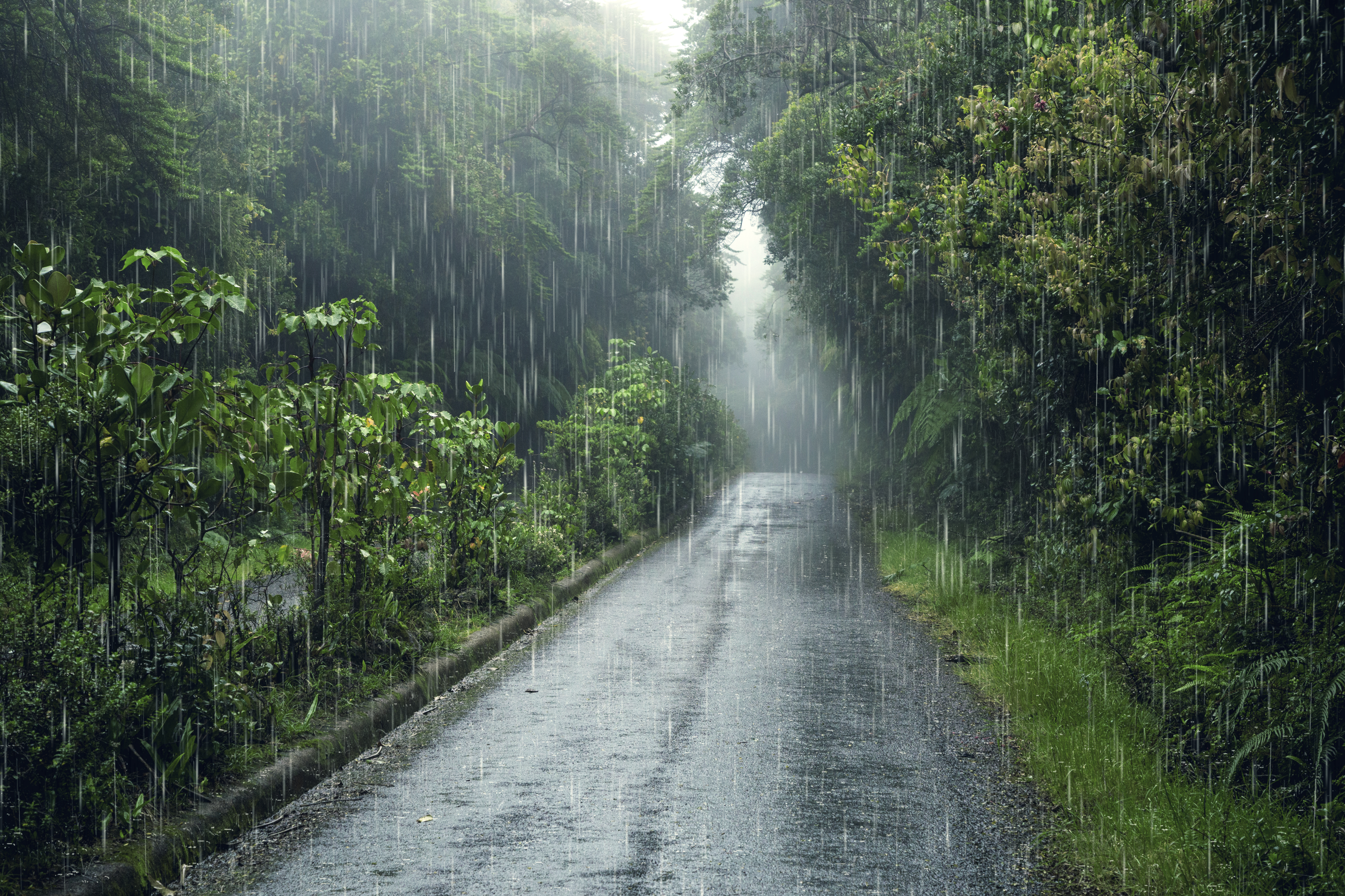 Meteoroloji’den Gök Gürültülü Sağanak ve Kuvvetli Rüzgar Uyarısı
