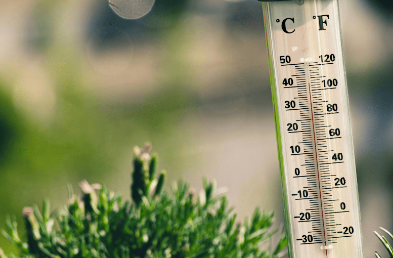Meteoroloji’den Kuvvetli Rüzgar ve Fırtına Uyarısı: İşte İl İl Hava Durumu