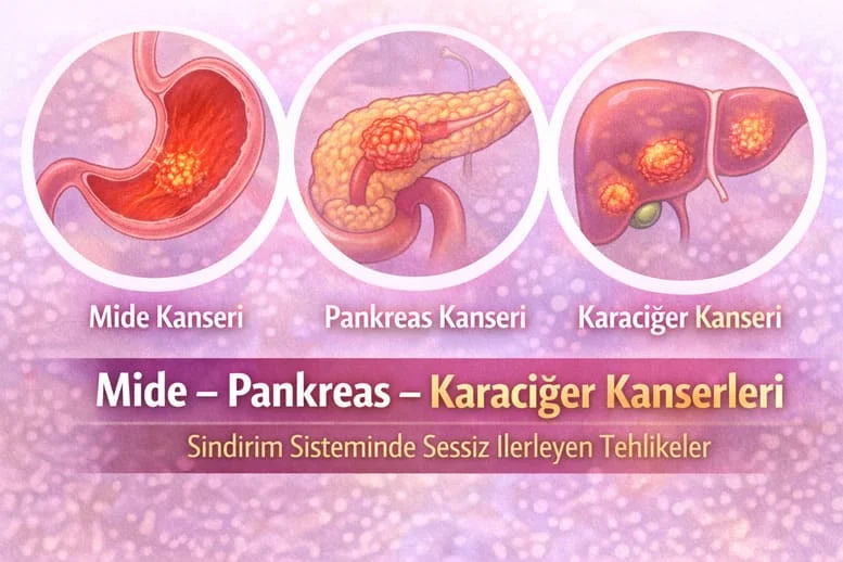 Mide, Pankreas ve Karaciğer Kanserleri Nasıl Anlaşılır? Sessiz İlerleyen Riskler