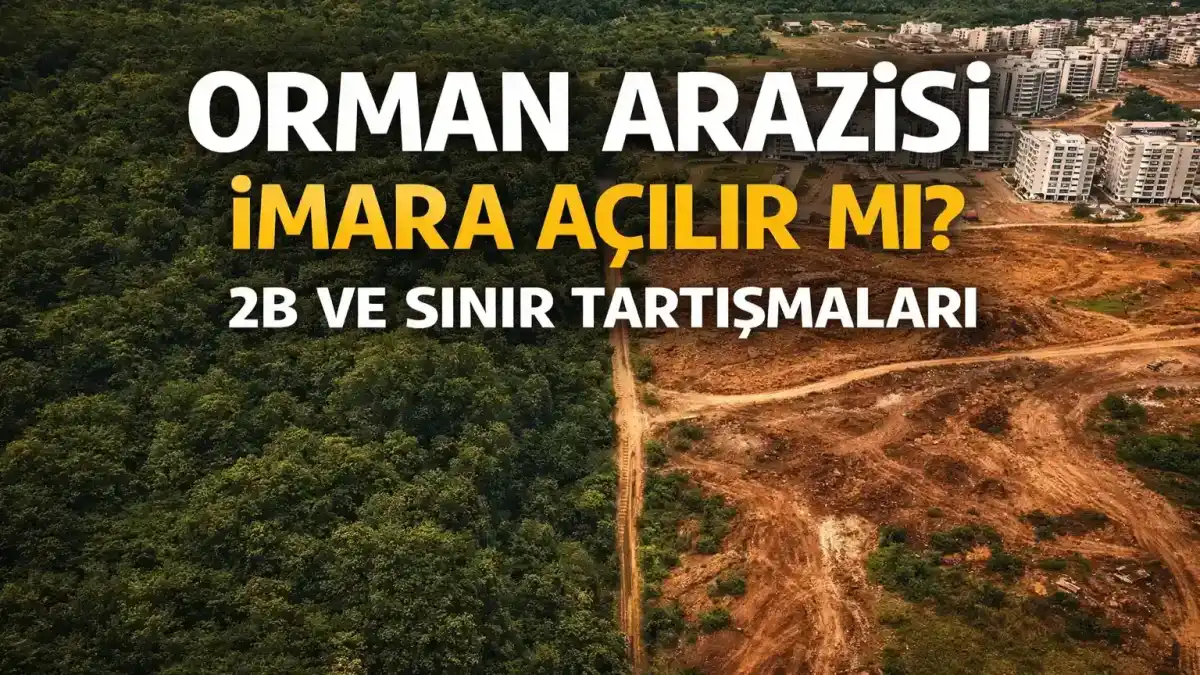 Orman arazisi imara açılır mı? 2B ve sınır tartışmaları