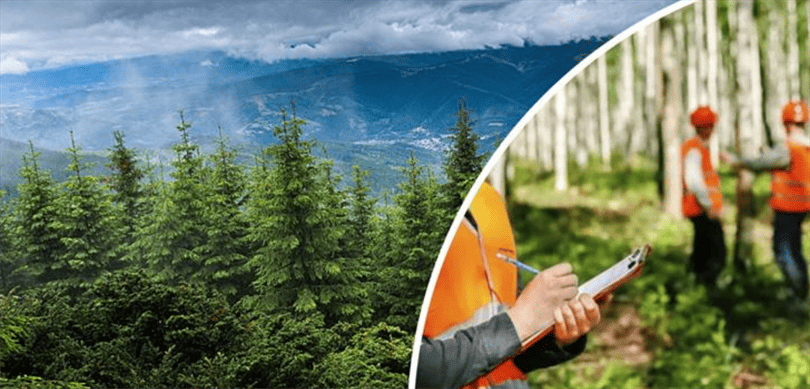 Orman Genel Müdürlüğü 496 Sözleşmeli Personel Alacak