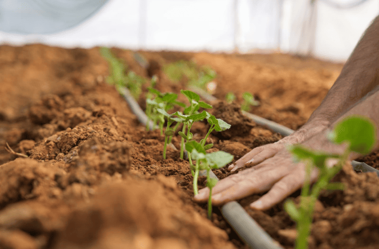 Orman Genel Müdürlüğü’nden Orman Köylülerine 61 Milyon TL Destek