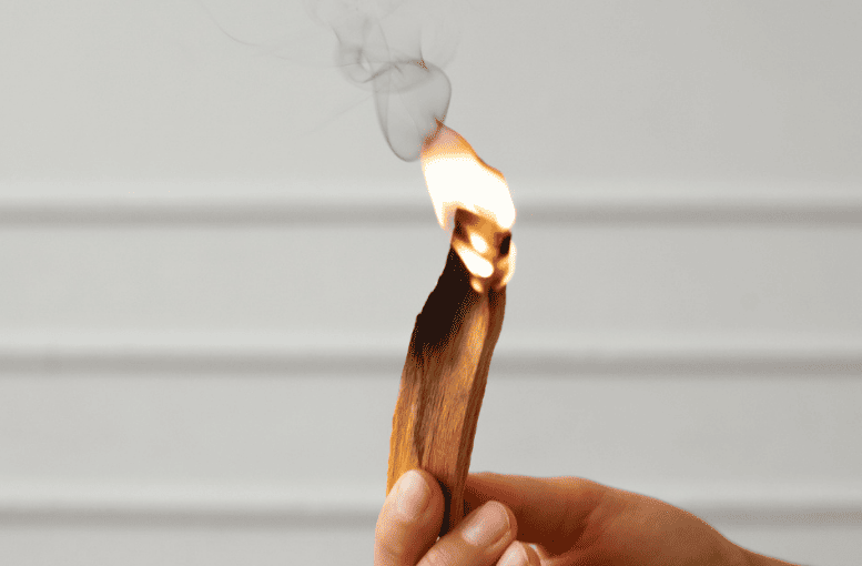 Orman Genel Müdürlüğü'nden Yangın Uyarısı: "Sigaradan ve Cam Şişeden Uzak Durun"