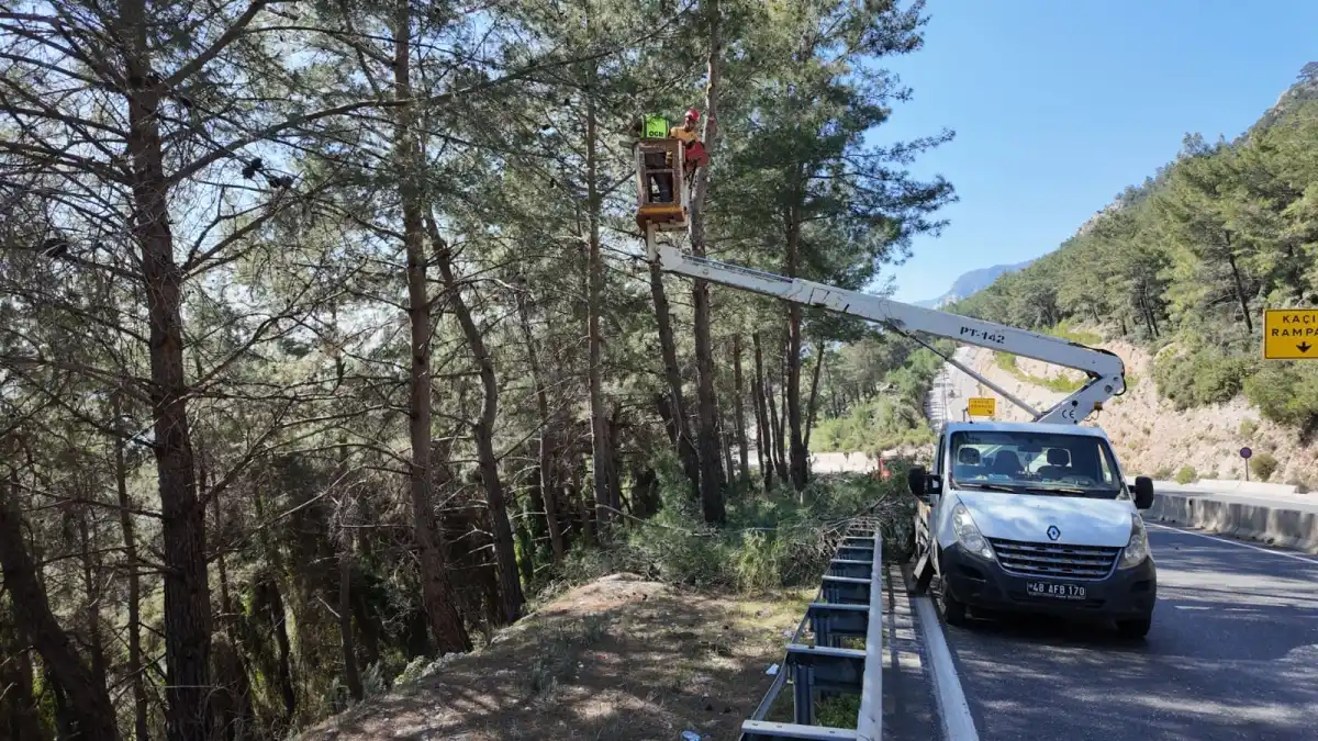 Orman Yangınlarına Karşı Önlemler Artırıldı: Sakar Geçidi’nde Temizlik Çalışması