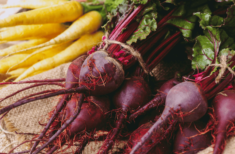 Pancar Üretimi: Tohumdan Hasata Kapsamlı Tarım Rehberi