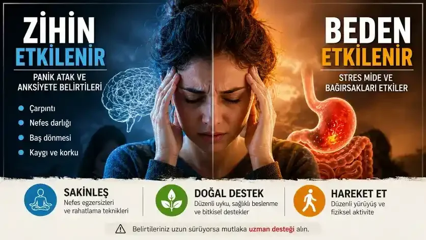 Panik Atak, Anksiyete ve Stres: Vücutta Neler Oluyor?