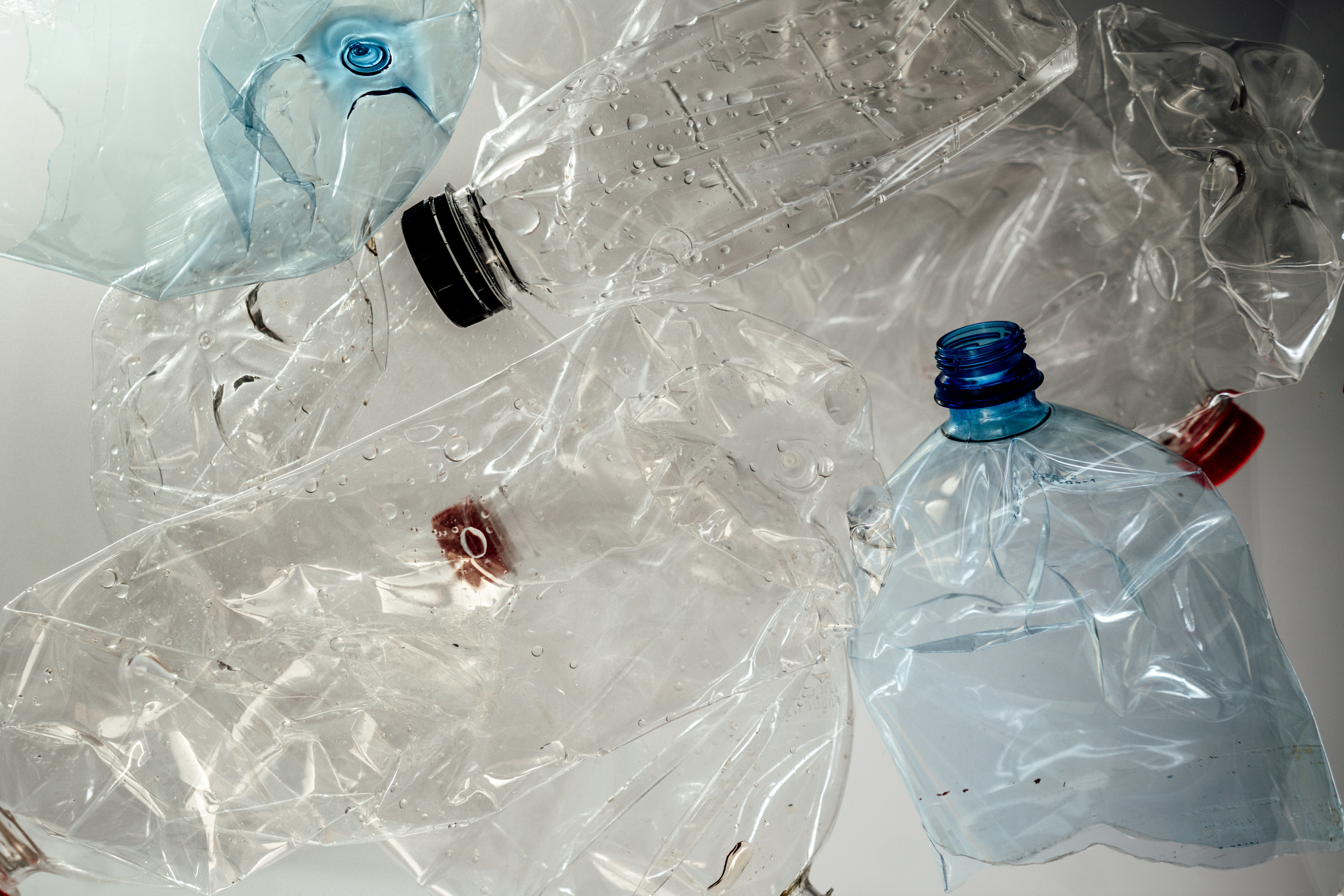 Plastik Kirliliği Neden Bu Kadar Büyük Bir Sorun?