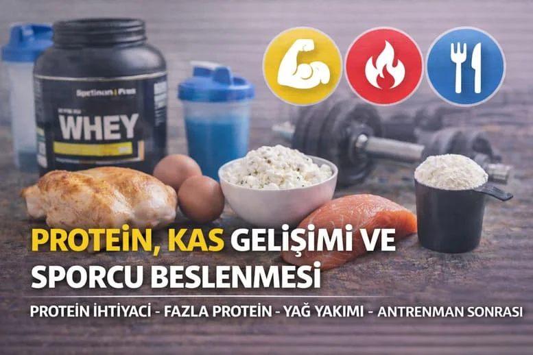 Protein, Kas Gelişimi ve Sporcu Beslenmesi: Bilimsel Rehber