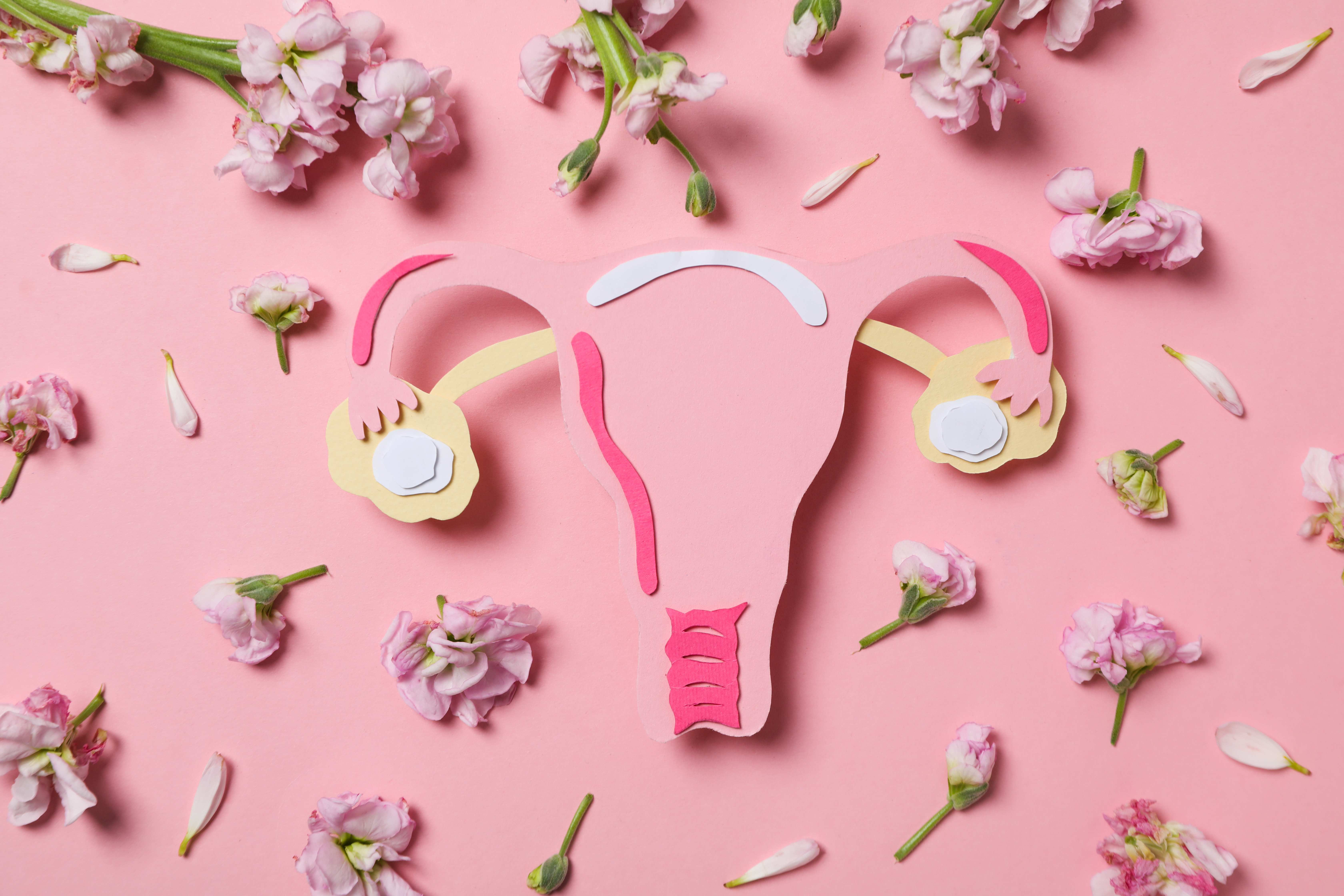 Rahim Duvarı Kalınlaşması Nedir?