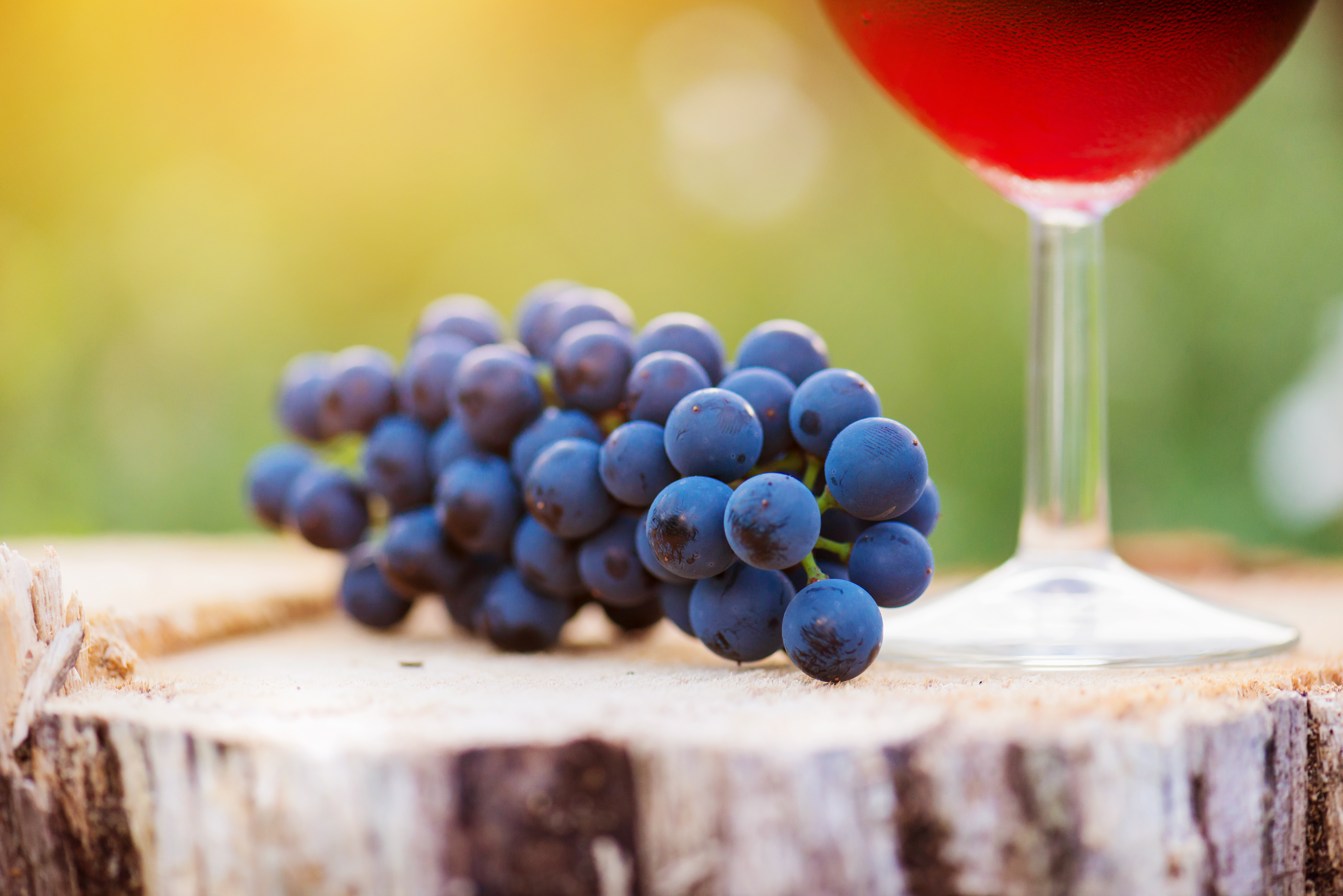 Resveratrol Nedir, Neye Yarar?