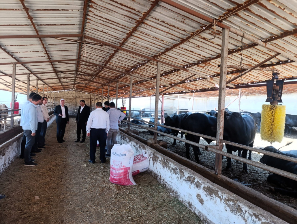 Şemsi Bayraktar: “Bu Yıl Görülen Şap Virüsü Daha Ölümcül ve Tehlikeli Seyrediyor”