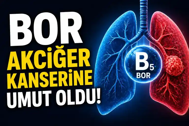 Sessiz Elementten Büyük Devrim: Bor Akciğer Kanserini Nasıl Yok Ediyor?