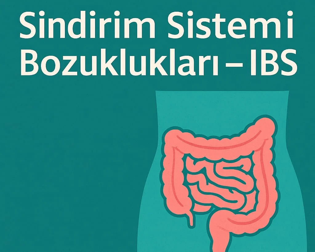 Sindirim Sistemi Bozuklukları – IBS Nedir, Nasıl Anlaşılır?