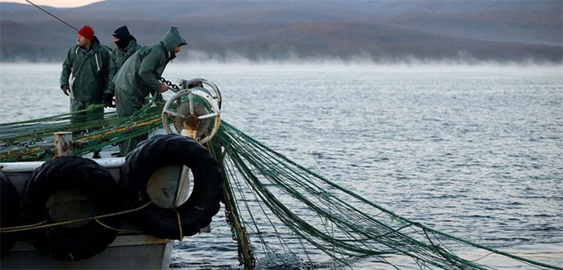 Tarım ve Orman Bakanlığı’ndan 251 Milyon Liralık Destekleme Ödemesi