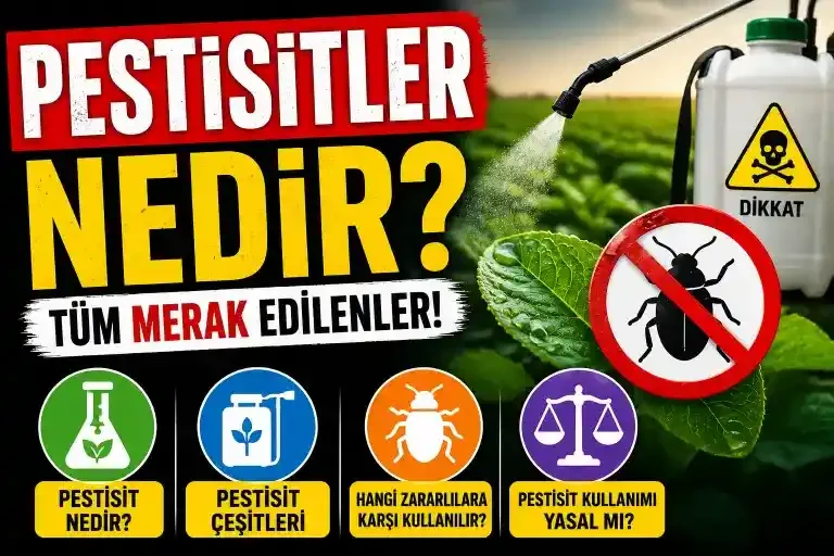 Tarımda Kimyasal Mücadele: Pestisitler Yasak mı, Yasal mı?