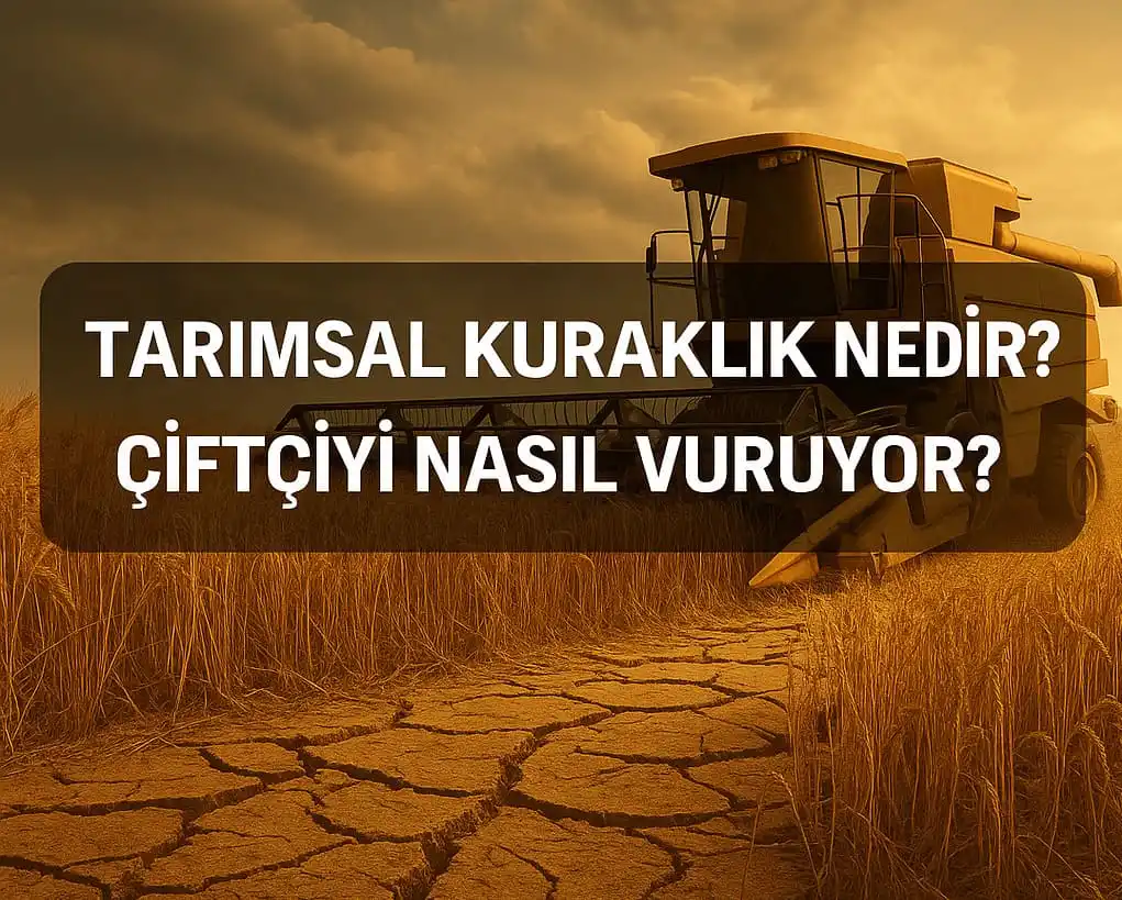 Tarımsal Kuraklık Nedir? Çiftçiyi Nasıl Vuruyor?