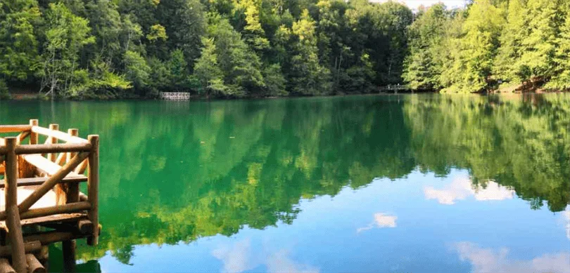 TBMM’de Kabul Edilen Milli Parklar Düzenlemesini Bakan Yumaklı Değerlendirdi