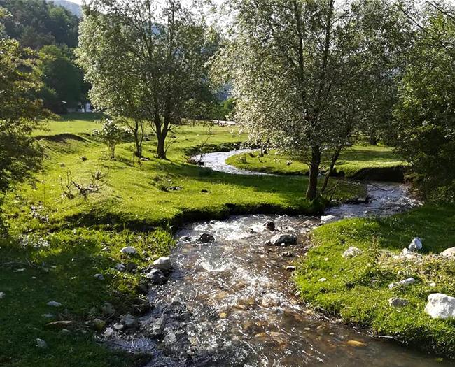 Tokat Gezi Rehberi: Tokat Yemekleri, Festivalleri ve Konaklama Rehberi