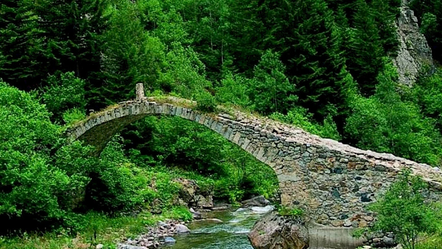 Trabzon’un Saklı Vadisi: Altındere Milli Parkı Gezi Rehberi