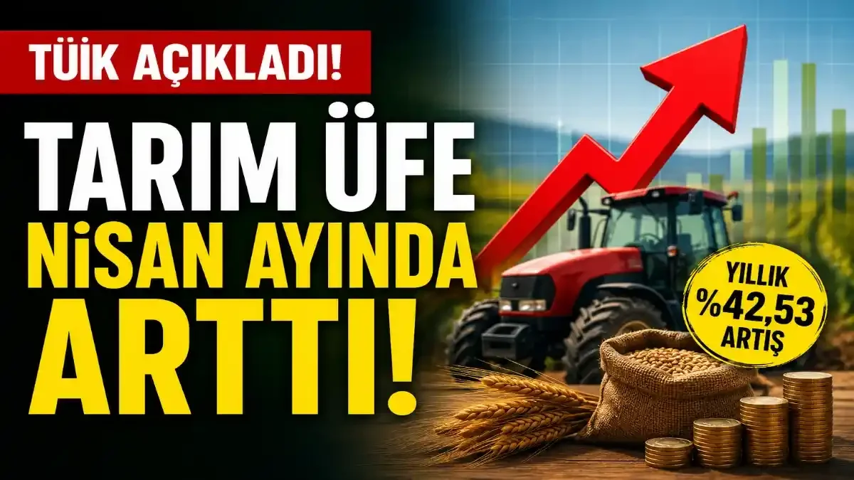 TÜİK Verileri Açıklandı: Tarımda Üretici Maliyetleri Artmaya Devam Ediyor