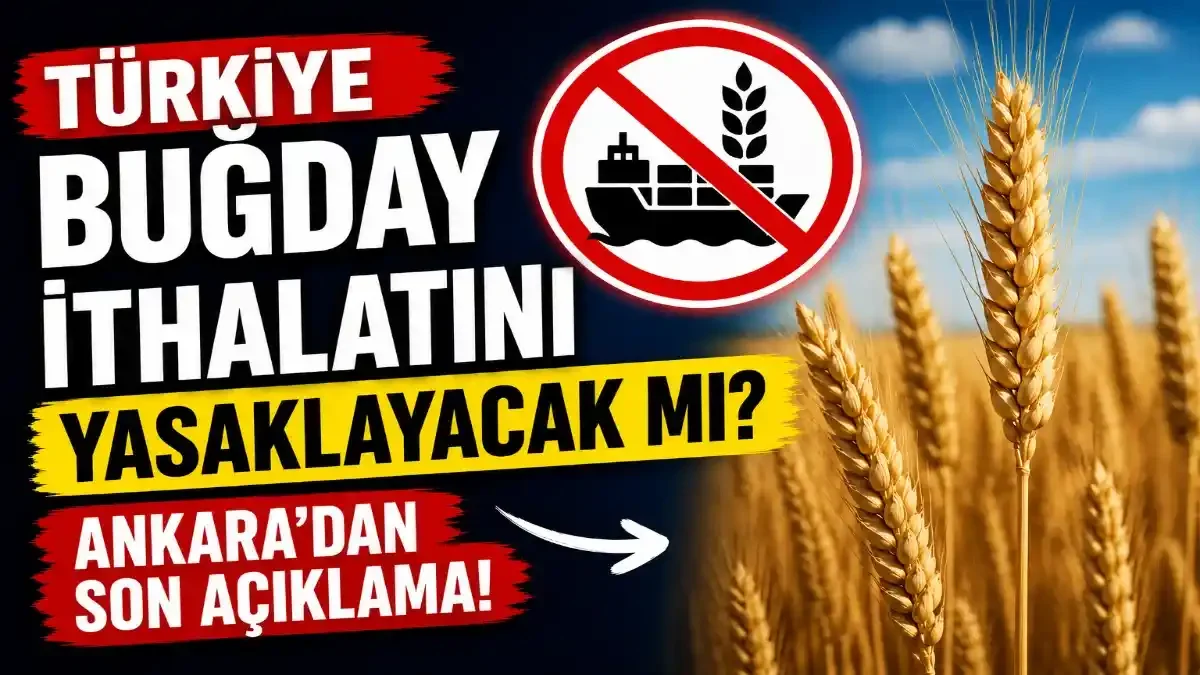 Türkiye Buğday İthalatını Yasaklayacak mı? Ankara Kaynaklarından Kritik Açıklama