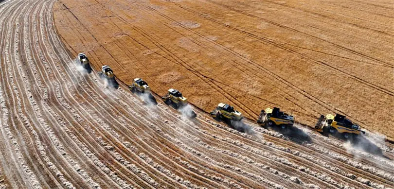Türkiye Ekonomisi Üçüncü Çeyrekte Yüzde 3,7 Büyüdü: Tarımda Geçici Daralma