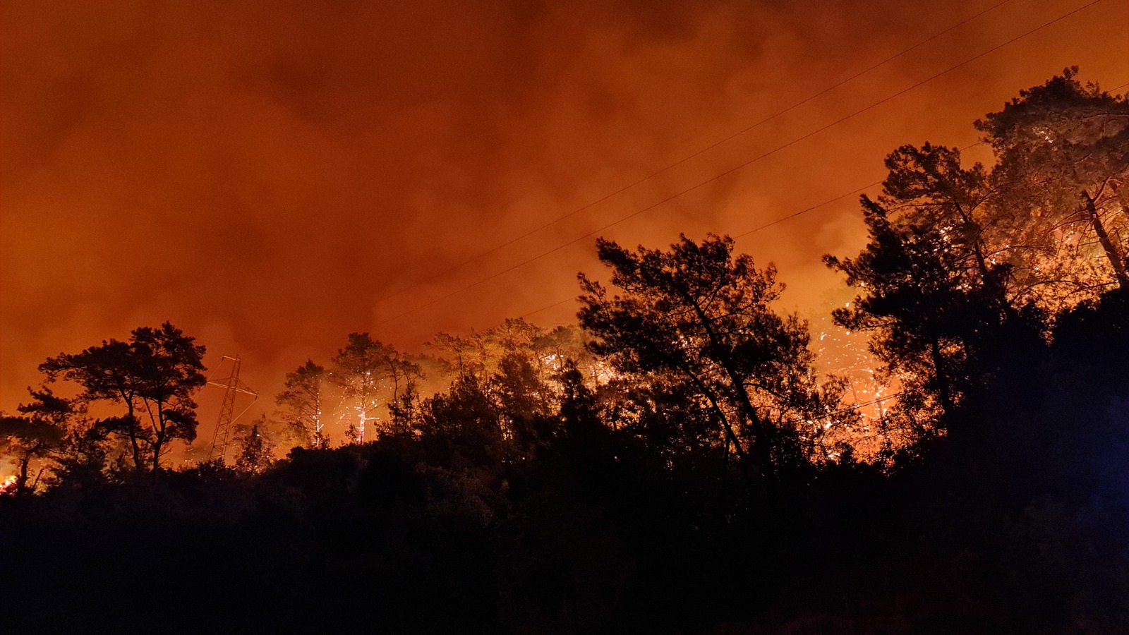 Türkiye'de Son İki Günde 111 Yangın: 5 Orman Yangınına Müdahale Sürüyor