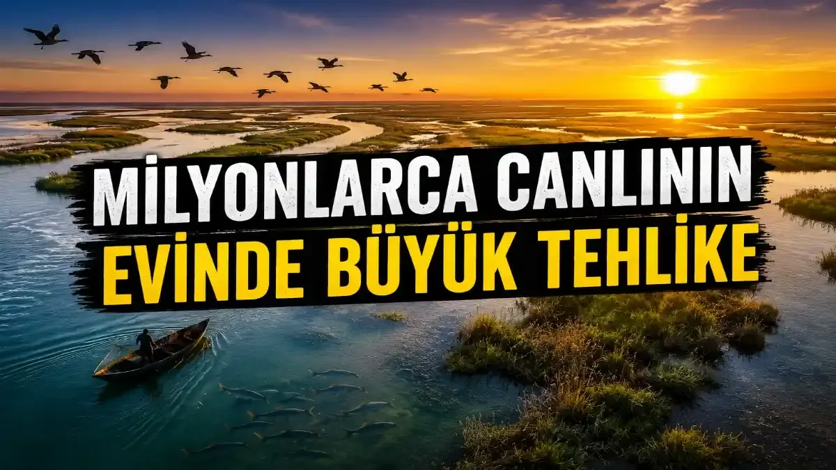 Türkiye'nin Deltaları Alarm Veriyor: Kuşların ve Balıkların Yaşam Alanları Neden Risk Altında?