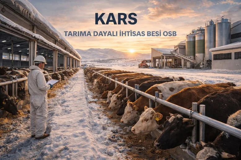 Türkiye’nin Hayvancılık Üssünde Planlı Dönüşüm: Kars Tarıma Dayalı İhtisas Besi OSB