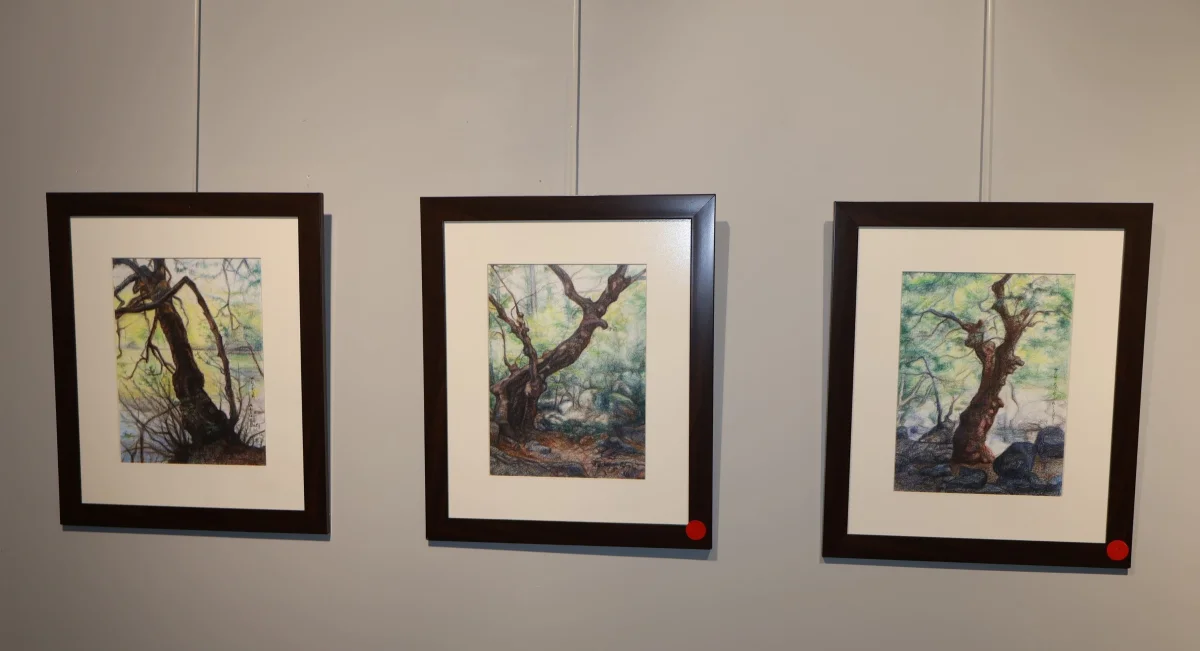 Türkmen Alkan’dan “Sessiz Direniş”: İçsel Yolculuğu Anlatan Kişisel Sergi Evrim Sanat Galerisi’nde